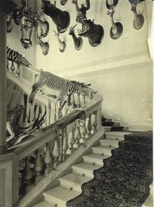 Palazzo Franchetti, interno con collezioni